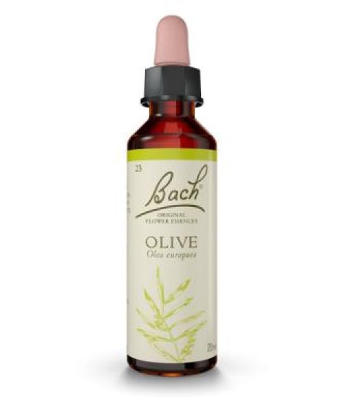 Olive (Olivo)  - Es una Flor de Bach® Original de acuerdo al tipo de personalidad apática. Dirigida a personas que se sienten cansadas. 