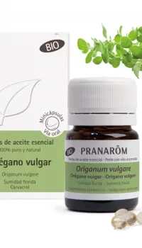 Orégano Vulgar Pranarom