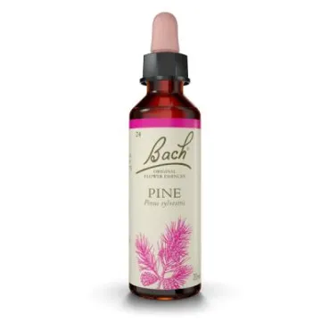  - Es una Flor de Bach® Original de acuerdo al tipo de personalidad triste. Dirigida a personas con una actitud de autorreproche.