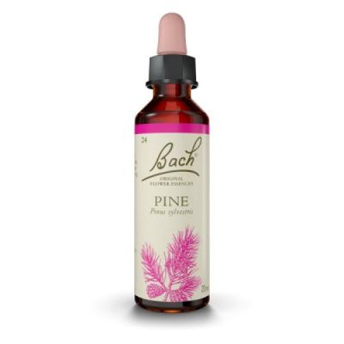  - Es una Flor de Bach® Original de acuerdo al tipo de personalidad triste. Dirigida a personas con una actitud de autorreproche.