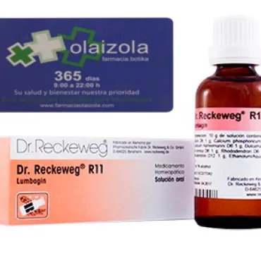 r11 reckeweg - r11 reckeweg