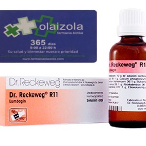 r11 reckeweg - r11 reckeweg