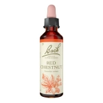 Red Chestnut (Castaño rojo) 