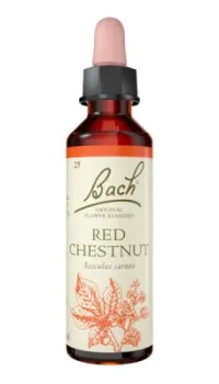 Red Chestnut (Castaño rojo) 