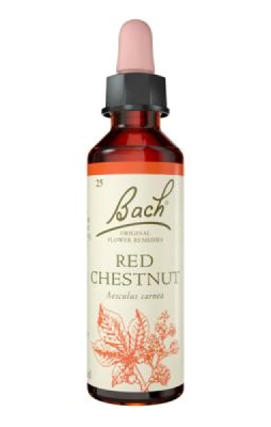 Red Chestnut (Castaño rojo) Red Chestnut (Castaño rojo)