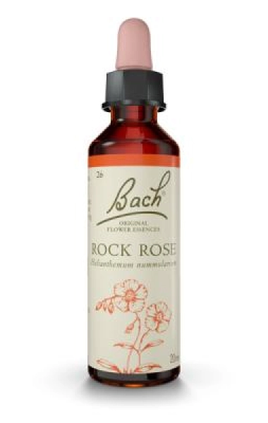 Rock Rose (Heliantemo) 