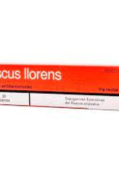 Ruscus llorens