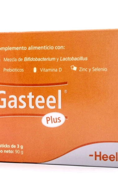 Gasteel plus 