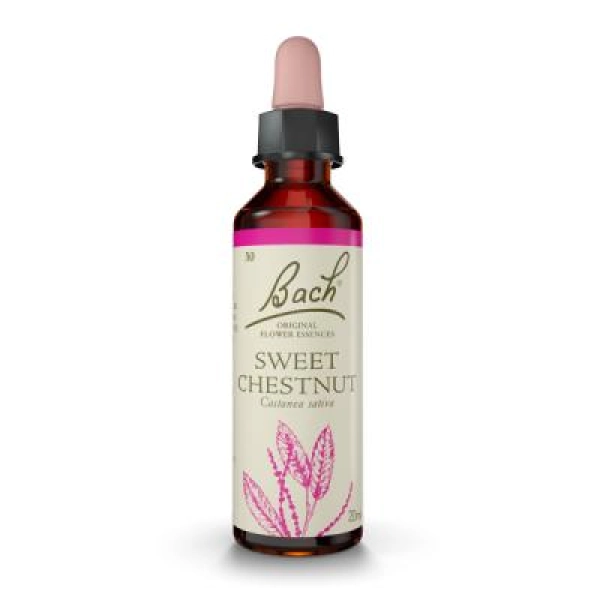 Sweet Chestnut (Castaño Dulce) 