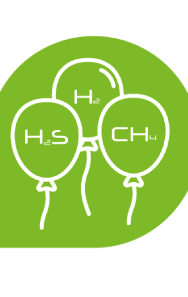 Test SIBO: hidrogeno, metano y sulfuro