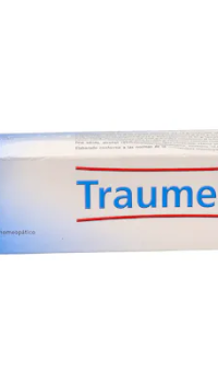 Traumeel S pomada