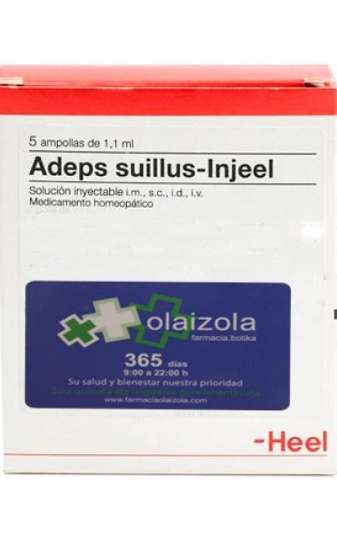 Adeps suillus-Injeel 