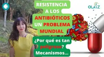 Calma la irritación e infecciones leves de boca y garganta. 