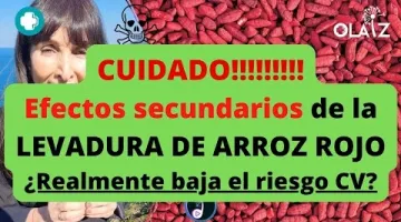 Ayuda a mejorar el funcionamiento del sistema cardiovascular y equilibrar los niveles de triglicéridos.