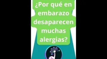 Ayuda a mejorar el funcionamiento del sistema cardiovascular y equilibrar los niveles de triglicéridos.