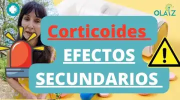 - Calmante, reequilibrador nervioso, relajante- Sube las endorfinas y afrodisíaco. - Antiespasmódico potente en ciáticas o dolores de tipo nervioso.- Para tratar palpitaciones, extrasístoles, hipertensión, impotencia, insomnio, tensión o angustia. - Tonifica de manera eficaz la piel y el cabello. 