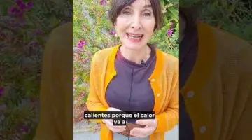 Trata las irritaciones de los párpados y alrededores que pueden cursar con rojez, picor, dolor, orzuelo...