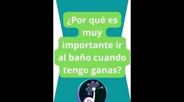 Probiótico para tratar la diarrea aguda, los gases y el estreñimiento. Probiótico con Lactobacillus rhamnosus GG, cuyo objetivo es el restablecimiento de la flora intestinal, ayudando a tratar la diarrea aguda, los gases y el estreñimiento, especialmente en lactantes y niños. Ayuda a mantener el equilibrio de la flora intestinal que puede verse alterado por tratamientos con antibióticos, por virus o por intoxicaciones alimentarias.