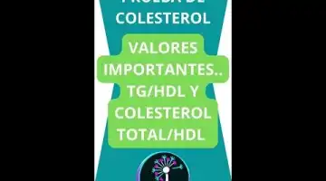 Combinación de ácidos grasos omega 3 procedentes del hígado de bacalao junto a variedad de vitaminas. Eficacia demostrada para la mejora del cerebro, la visión y los huesos. 