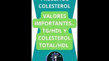 Ayuda a mejorar el funcionamiento del sistema cardiovascular y equilibrar los niveles de triglicéridos.