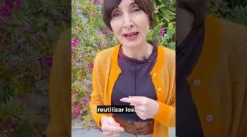 Hierro, vitaminas y minerales de origen natural para situaciones de cansancio, anemia, deportistas, embarazo...