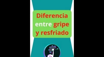 Clarityne plus 10/240 mg 7 comprimidos de liberación prolongada son unos comprimidos utilizados en la rinitis alérgica y en la congestión nasal.