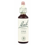Vine (Vid) 