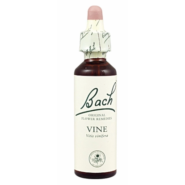 Vine (Vid) 