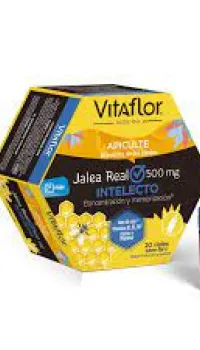 Vitaflor Intelecto