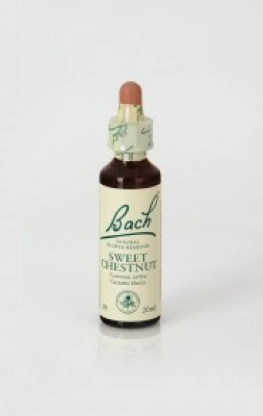 Sweet Chestnut (Castaño Dulce) 
