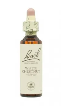 White Chestnut (Castaño de Indias) 