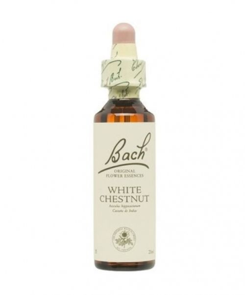 White Chestnut (Castaño de Indias) 20ml con gotero Nelsons - Es una Flor de Bach® Original  de acuerdo al tipo de personalidad apática. Dirigida a personas resignadas.  