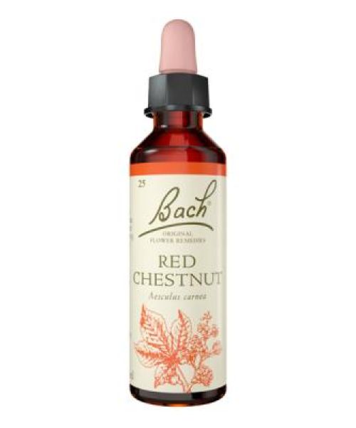 Red Chestnut (Castaño rojo)  - Es una Flor de Bach® Original de acuerdo al tipo de personalidad miedosa. Dirigida a personas preocupadas por los seres queridos.