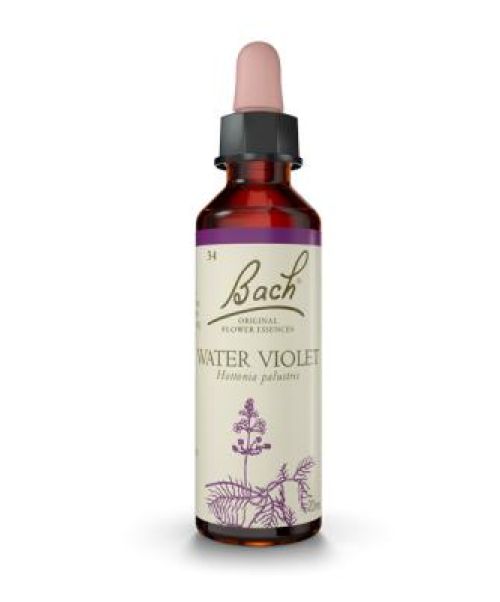 Water Violet (Violeta de Agua)  - Es una Flor de Bach® Original de acuerdo al tipo de personalidad solitaria. Dirigida a personas con una actitud autosuficiente/ distante.