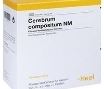 Cerebrum Compositum