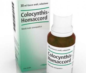 Colocynthis-Homaccord