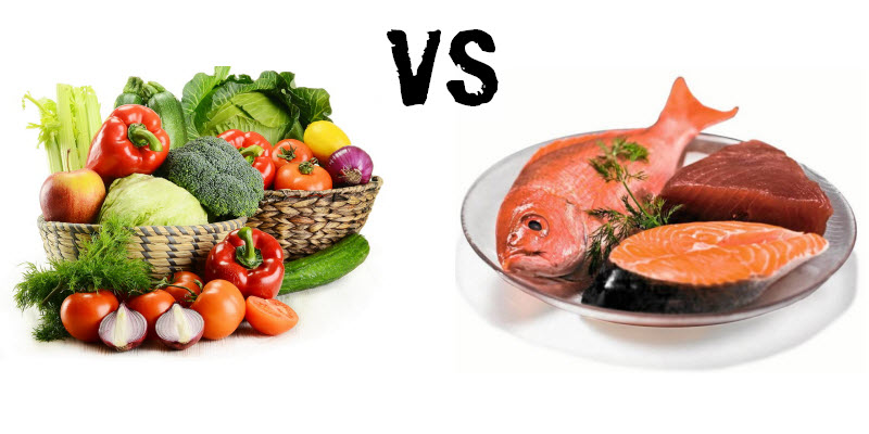PROTEÍNAS VEGETALES VS ANIMALES.